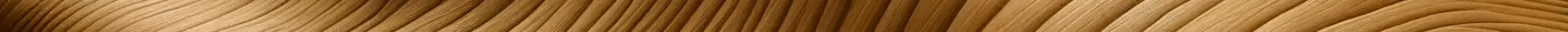 header accent
